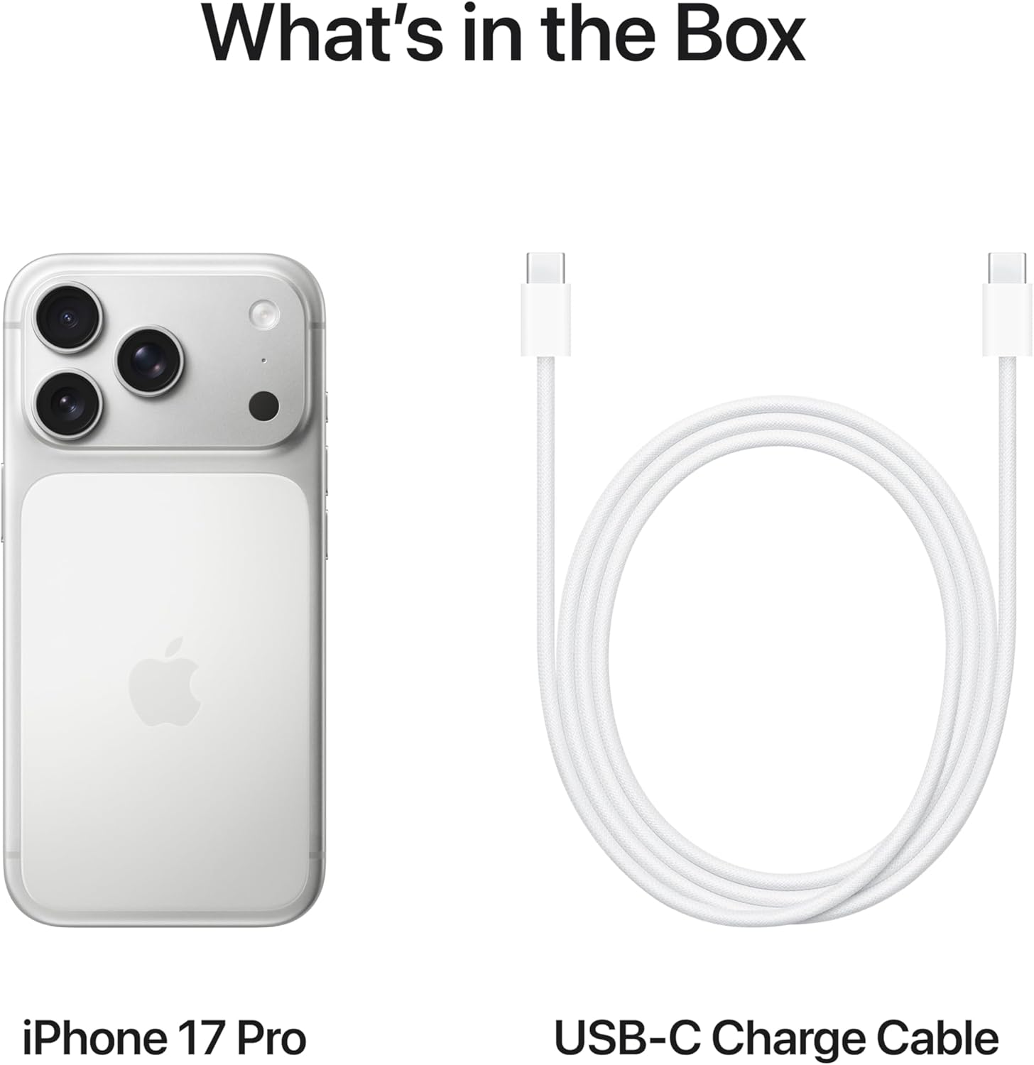 Apple iPhone 17 Pro (1TB Storage) - Silver